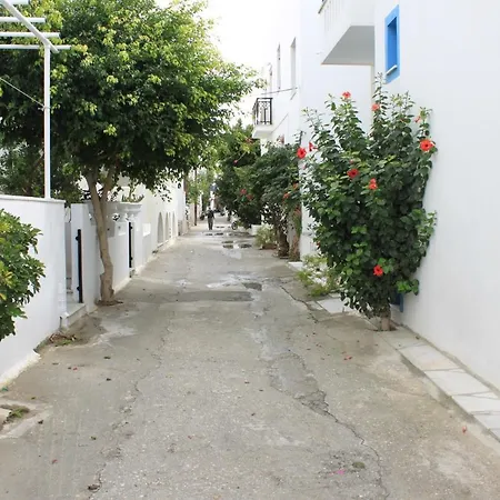 Vasilikos Naxos City